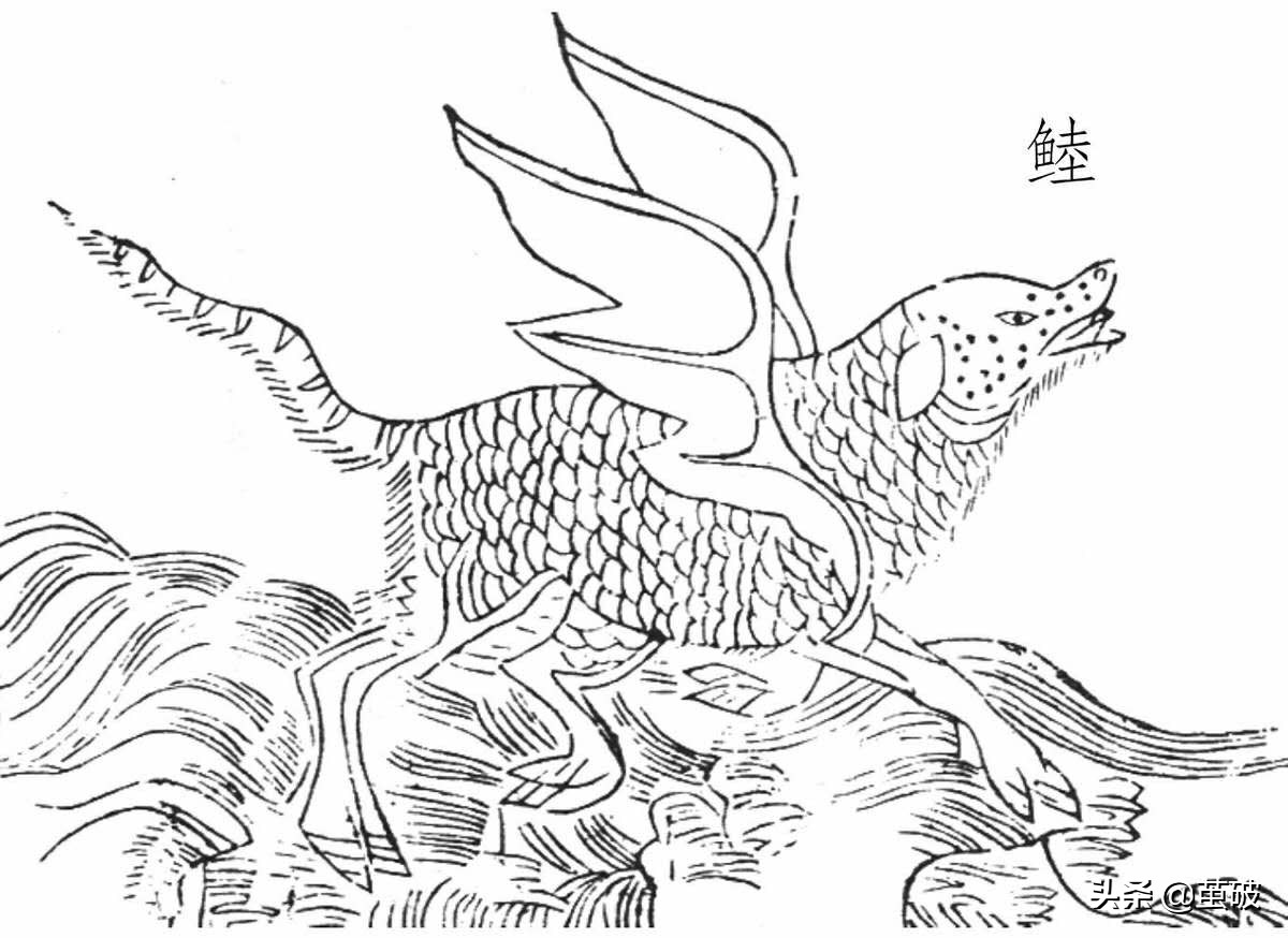 长得像牦牛一样的鱼，不仅冬眠，还能治疗毒疮，也就只有这里存在