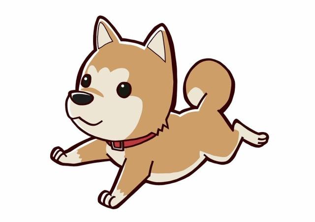 豆瓣评分高的运动番,盘点评分最高的运动番