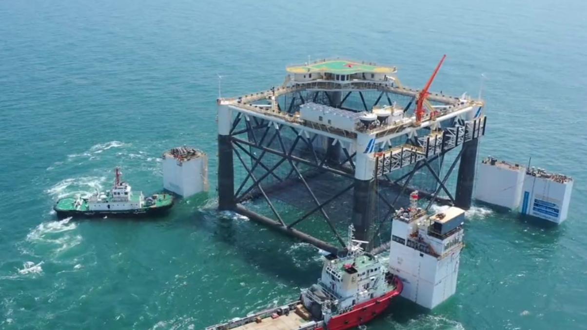 一次养鱼1000吨,中国在渤海建“亚洲最大鱼塘”,首次收网大丰收