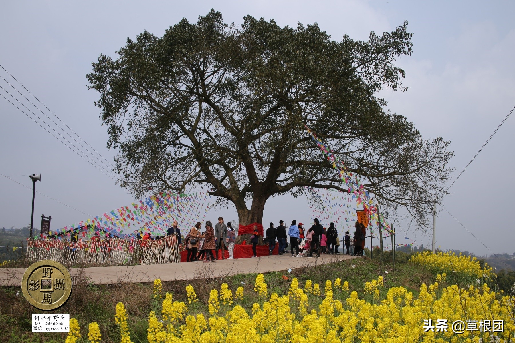 原广安县代市区有几个公社,广安消失的街道