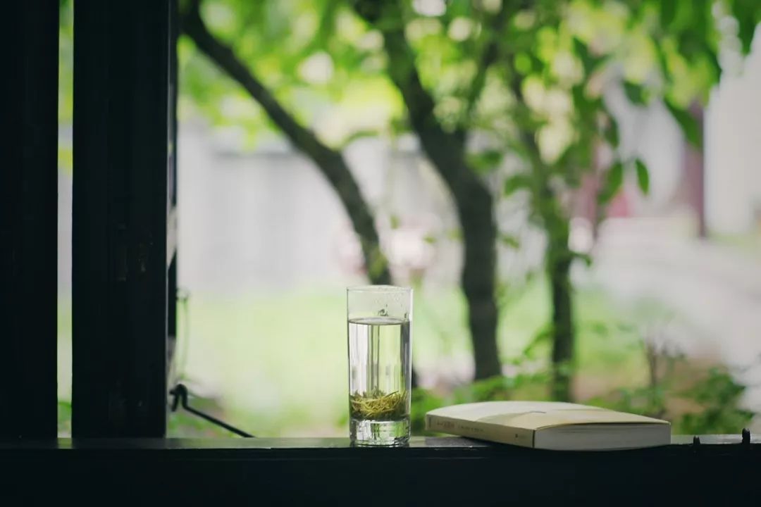 离上海仅1小时,这3座小众安静的江南名园,可惜大多数都没听过!