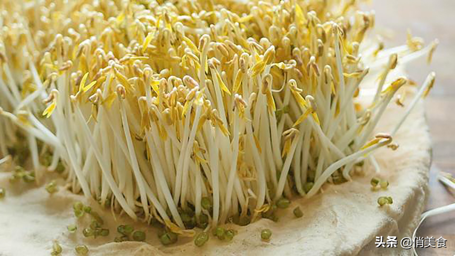 家庭自制绿豆芽的做法,家庭自制绿豆芽做法