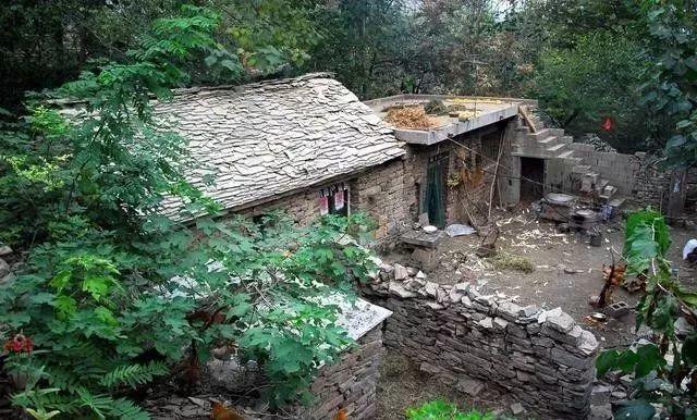 分享几个零投资的赚钱方法,分享2024年最赚钱的10个小项目