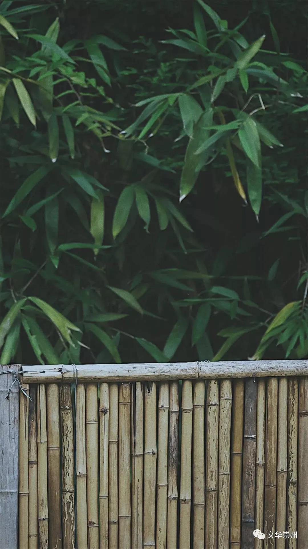 依山傍水,到“历空山·道明”感受世外桃源