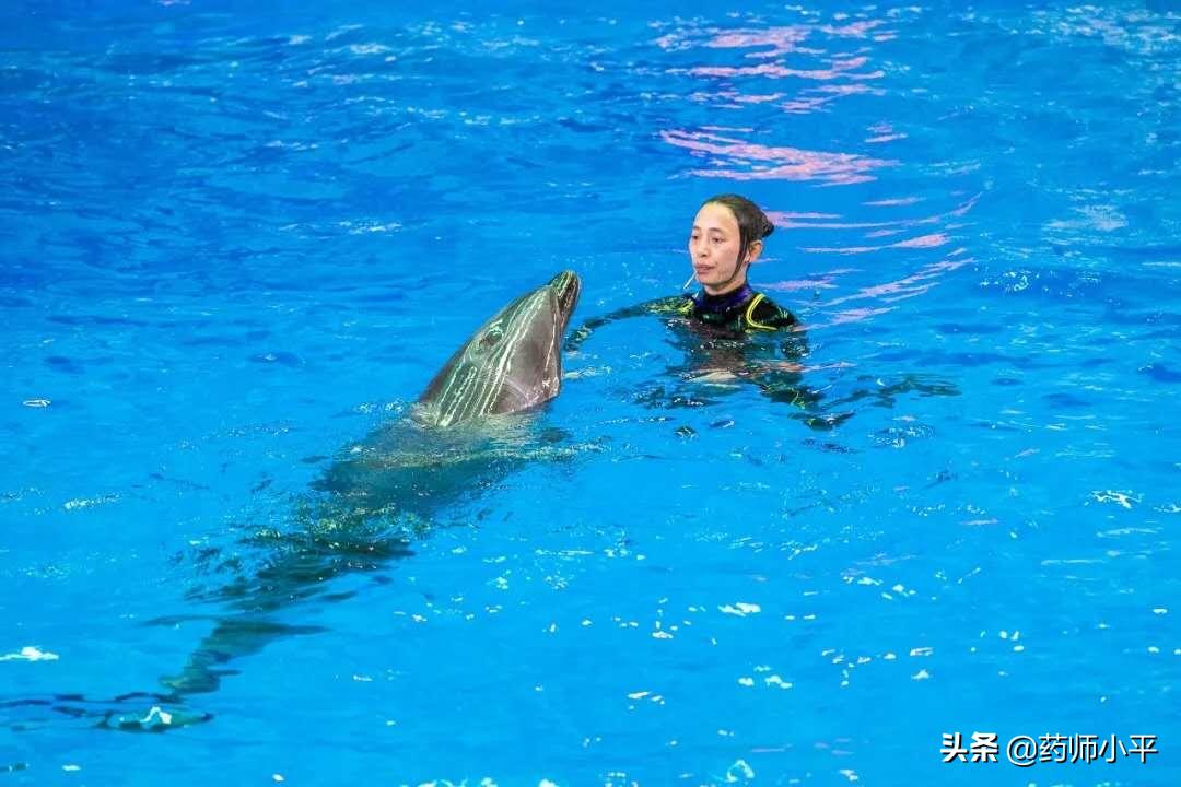 南京牛首山医护人员免费么,南京哪些景点对医护及配偶免费