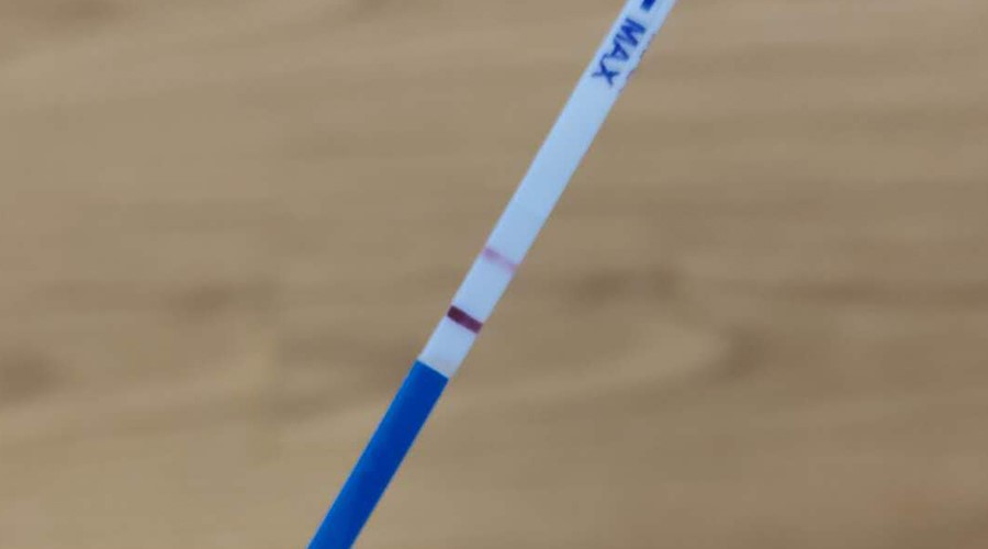 怀孕之路历经坎坷,熊猫血妈妈产检日常