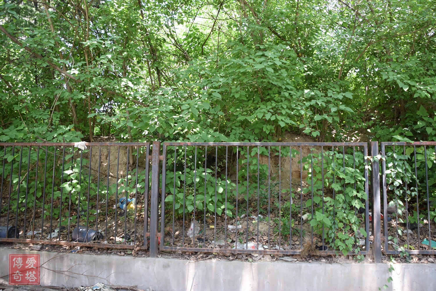 2020年经典电视剧有哪些,2020年将要播出的电视剧有哪些