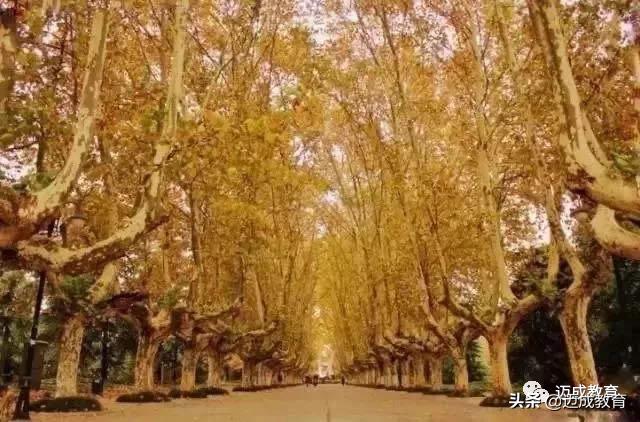 专转本院校介绍之|扬州大学