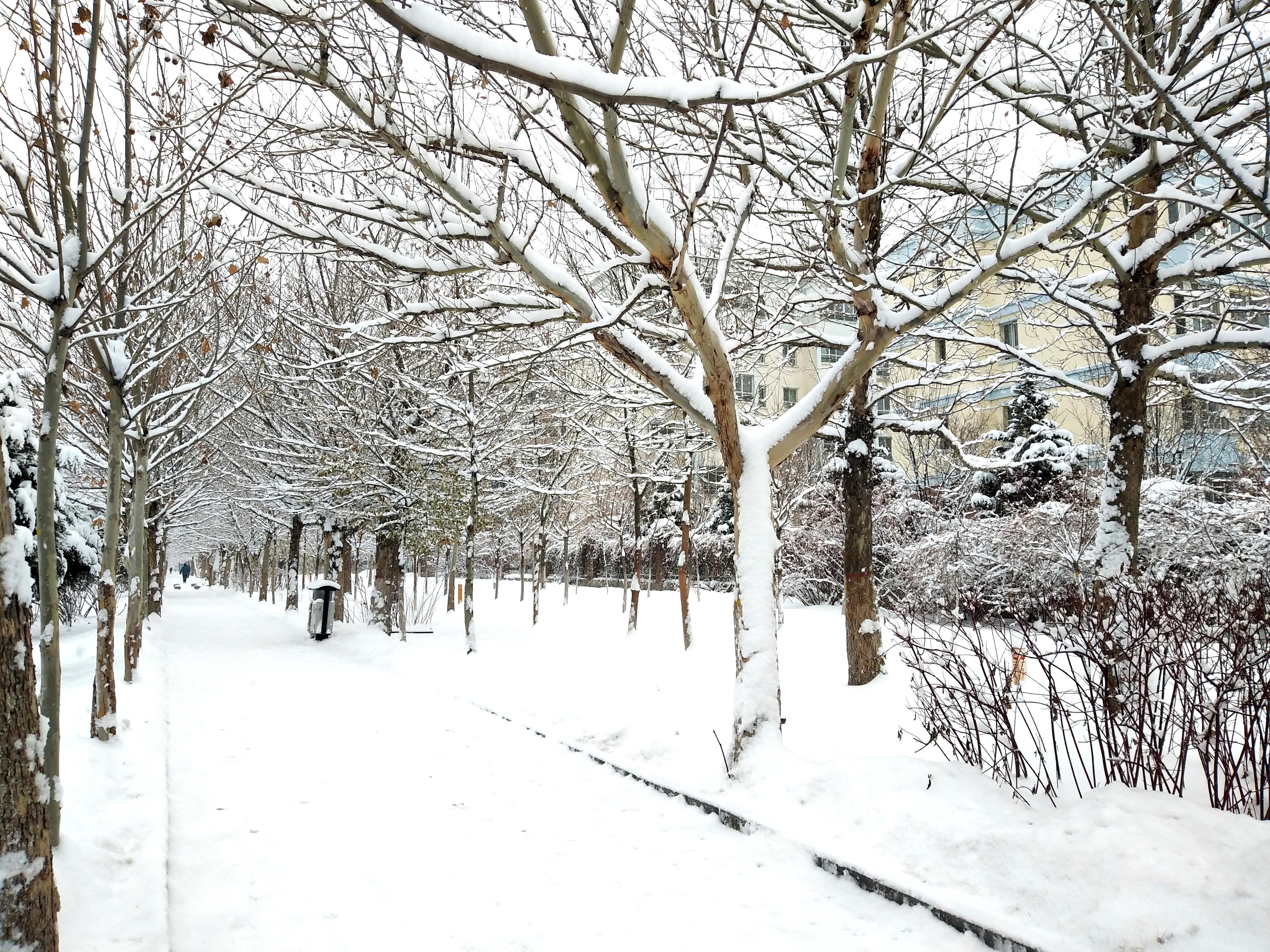 代购拿货攻略,三天营销培训心得