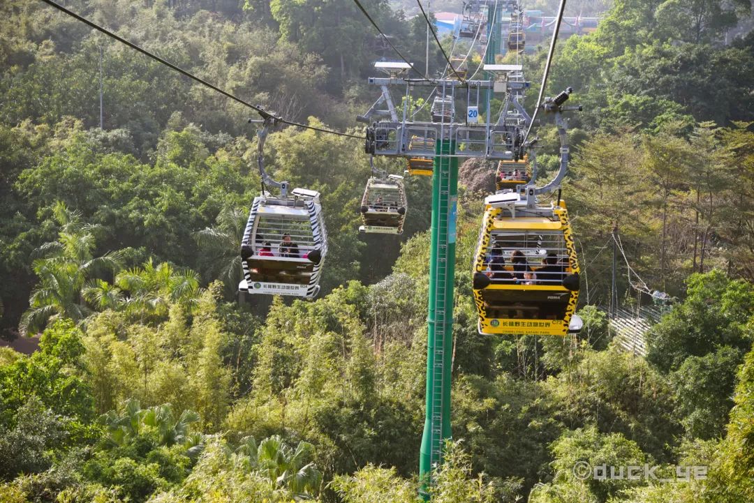 自驾长隆野生动物世界攻略,广州长隆野生动物世界旅游攻略