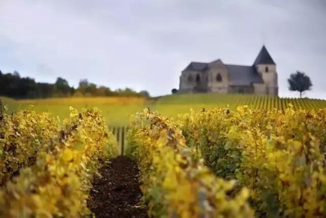 葡萄酒分级aop和aoc的区别,欧盟葡萄酒分级制度第一级别