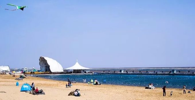 上海景点交通攻略,上海公交车旅游攻略