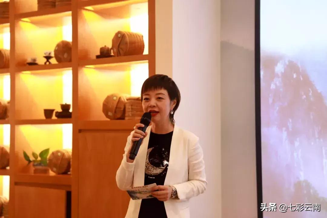 普洱茶百山百味茶,普洱茶的魅力百山有百味