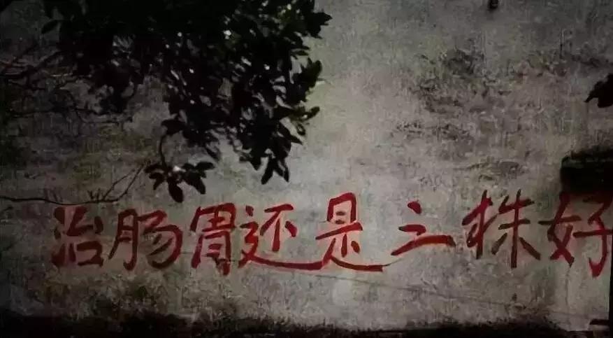 保健品帝国,中国保健品兴衰史