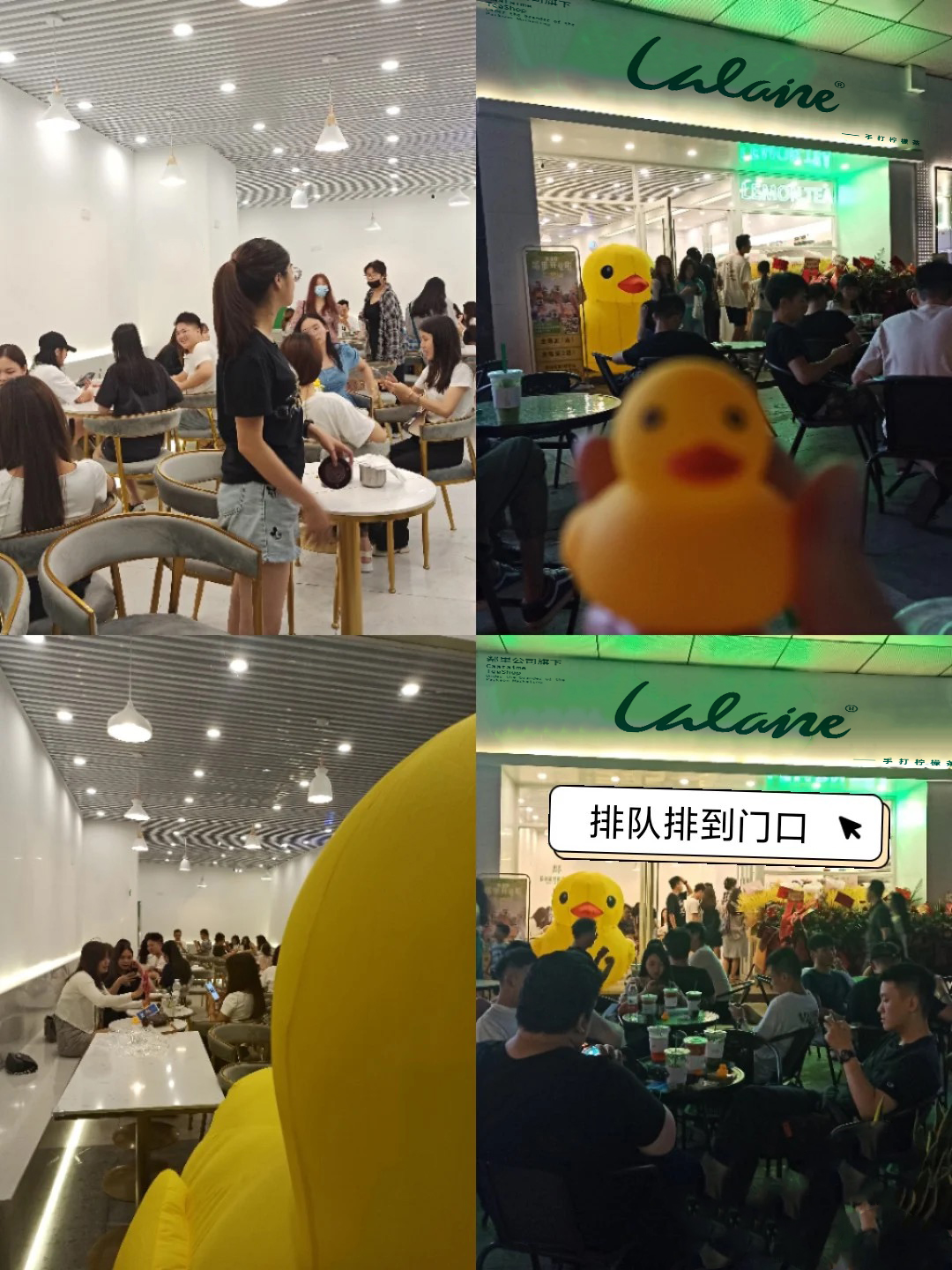 开店全攻略开奶茶店流程汇总,新手小白如何开奶茶店