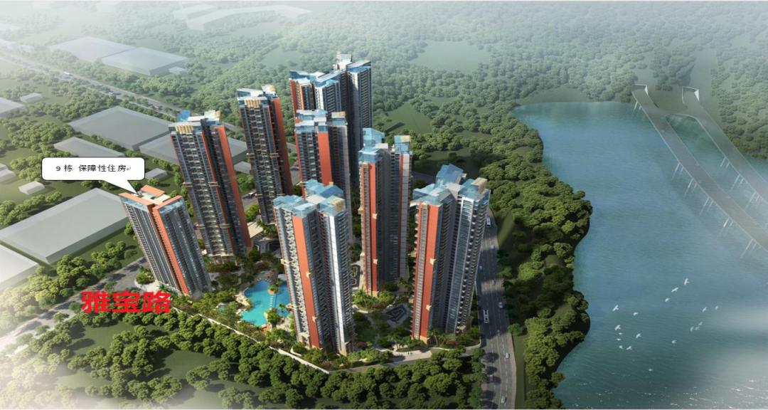 龙岗人才房配租申请,龙岗人才房配租