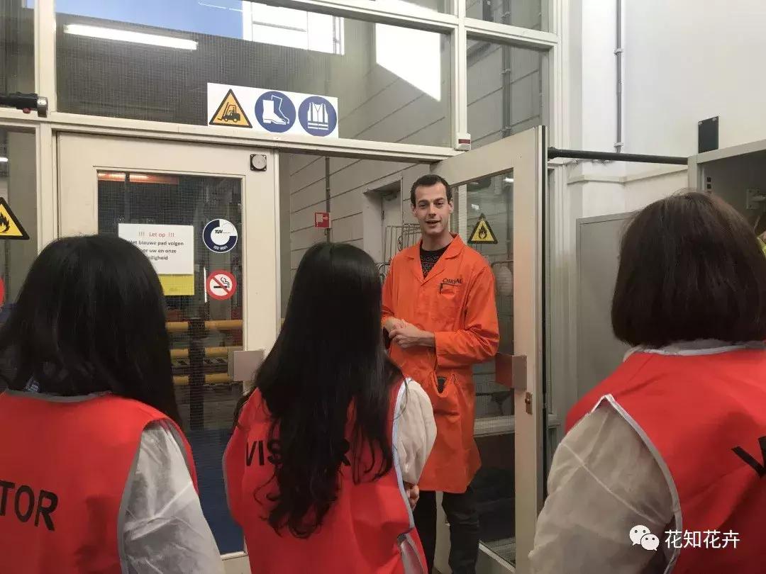 鲜花为什么最爱这一口！｜花呆子的荷兰鲜花游记（二）