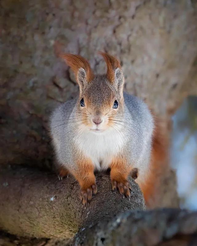 葬礼当天，她成为了四个孩子的“后妈”，网友：这是童话故事吧