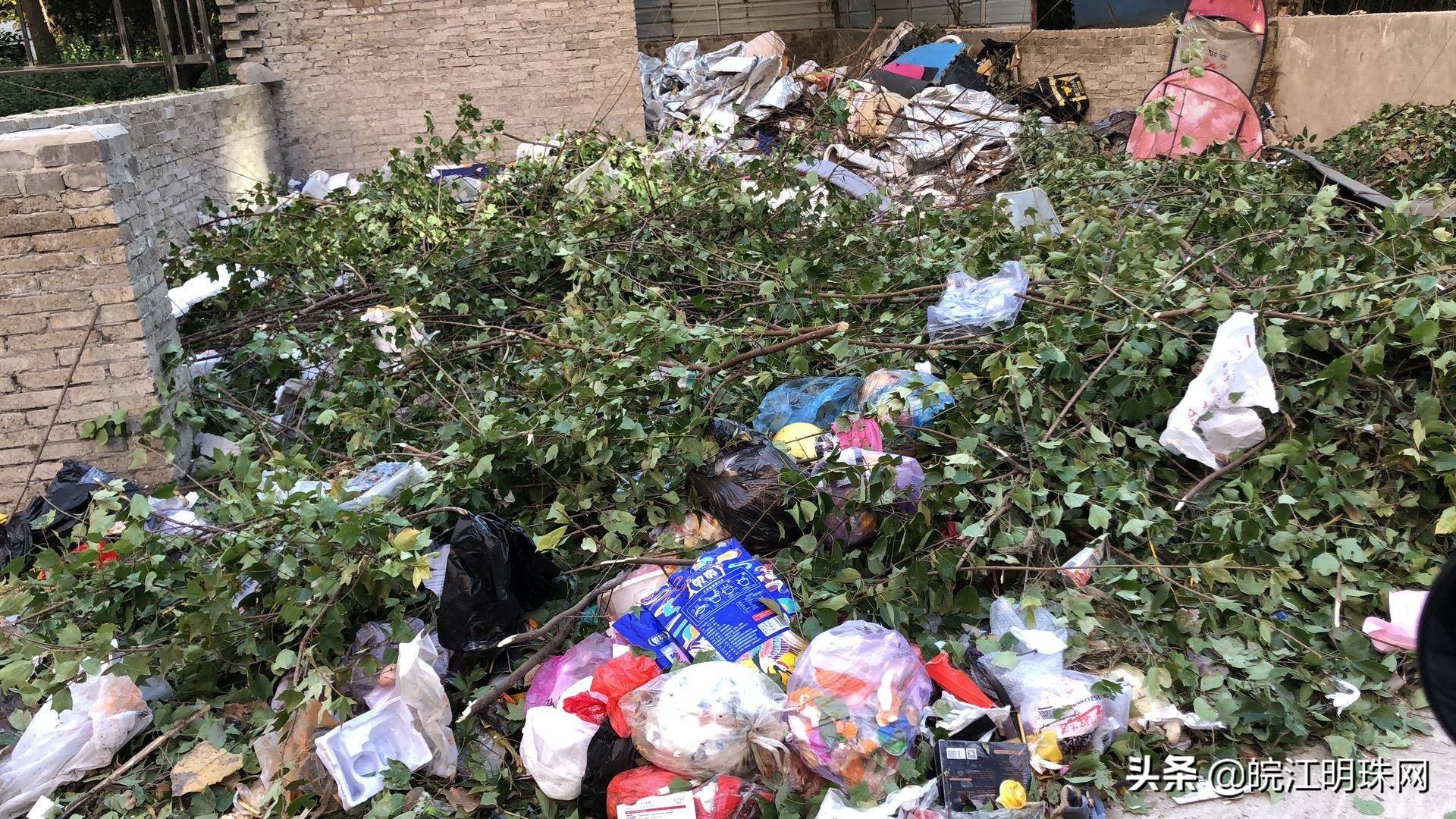 中央城c区芜湖环境,芜湖中央城d区环境