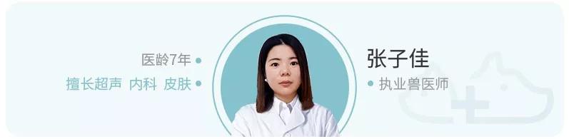 让狗狗3分钟get爱宠冬季健康指南,避开以下5条错误让狗狗安心过冬