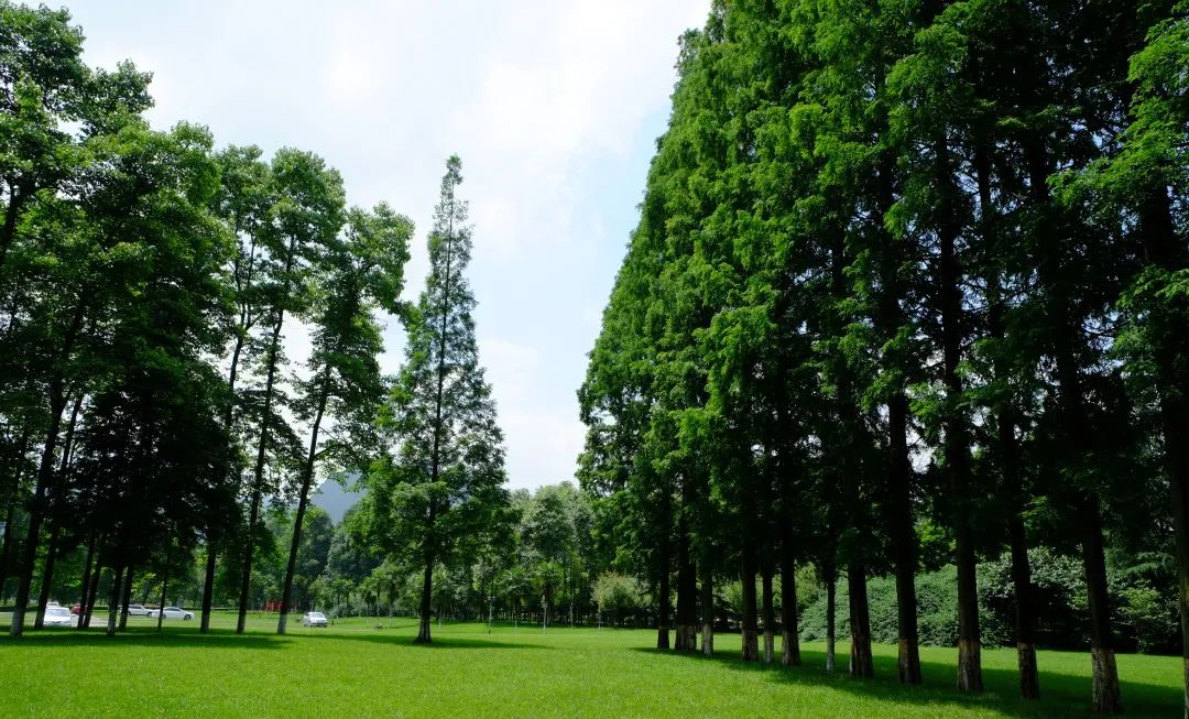 东软，青城山下最大的养老院型综合网吧