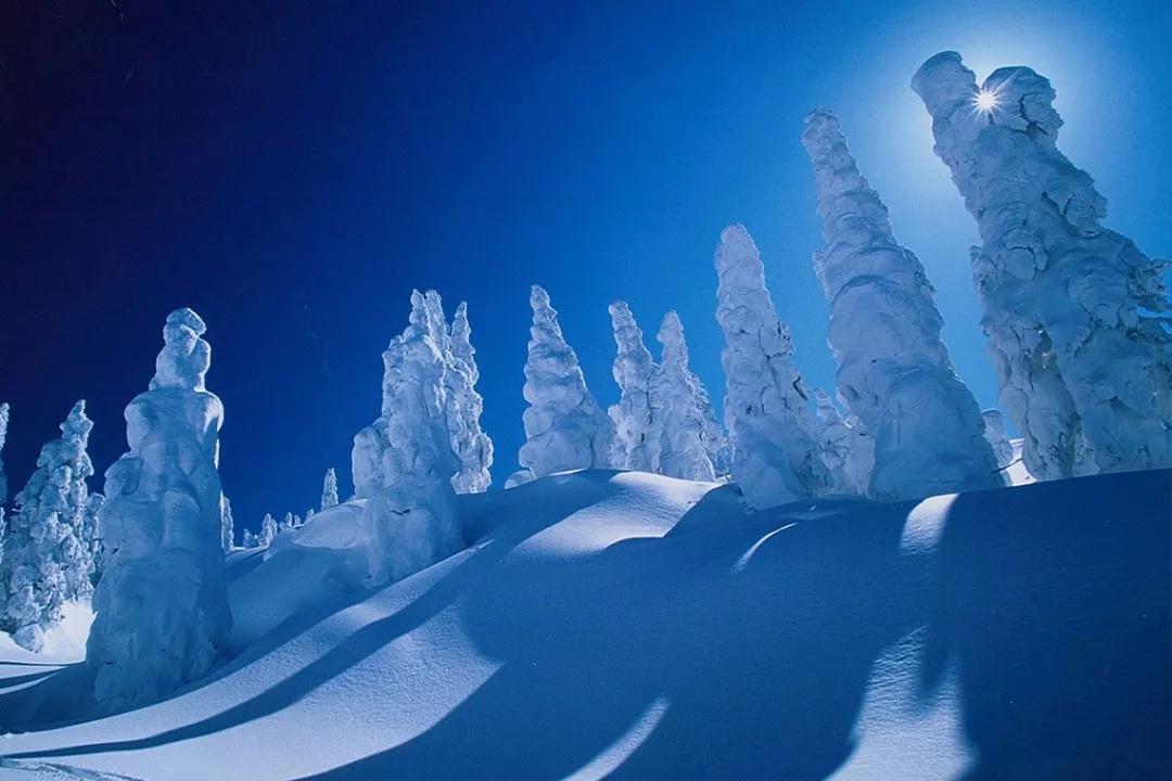 日本旅游攻略保姆级,日本保姆自由行攻略