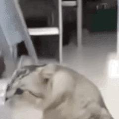 丝芙兰柜姐推荐彼得罗夫,丝芙兰柜姐都买什么