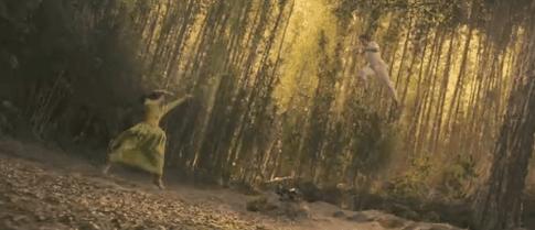 梁朝伟扑街了还能拿到片酬吗,梁朝伟最近扑街了几部电影