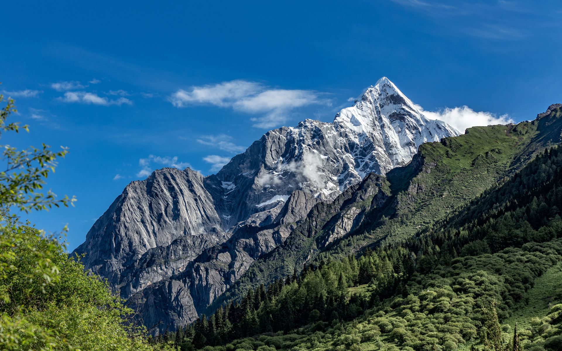 壁虎攀岩比赛,攀岩挑战哑铃