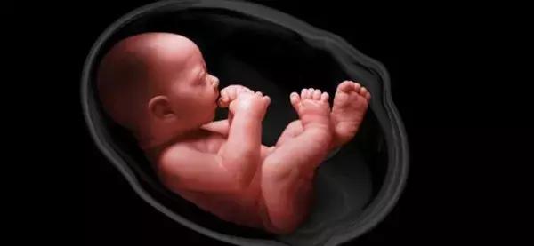 为什么有的人怀孕一点反应没有,怀孕过程的疑惑