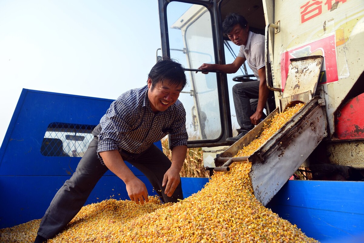 农民补贴一卡通怎么办,农村补贴的钱一卡通怎么领