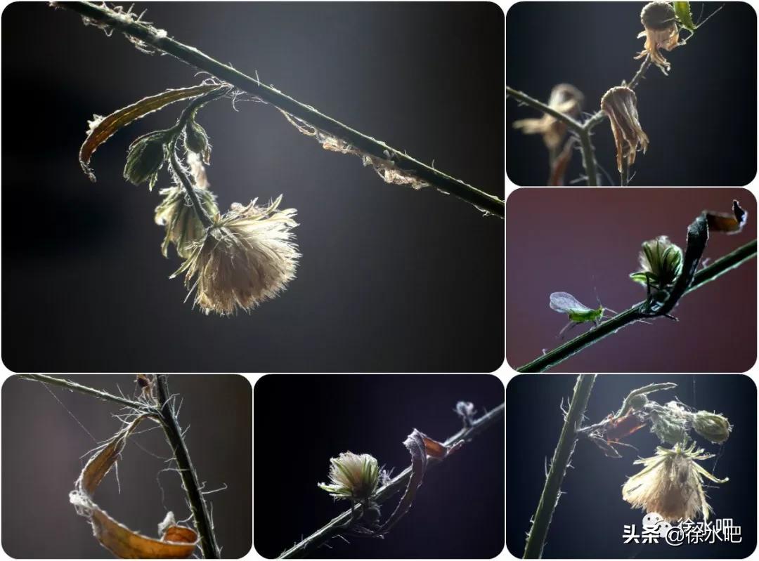 「徐水映像」换个角度看保定徐水,美