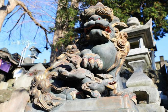 东京冬天附近游玩攻略,1月份的东京好去处