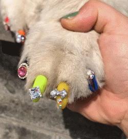 女人美甲到底该不该做,美甲指甲表面开裂是怎么回事