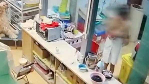 仅披一条浴巾，在酒店大堂到处走动，女子怪异行为让人无法理解！