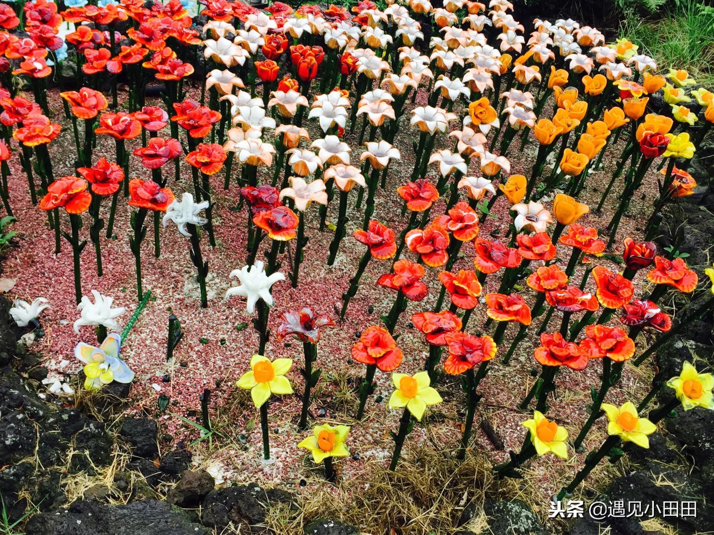 韩国自由行旅行攻略视频,韩国首尔自由行必买清单