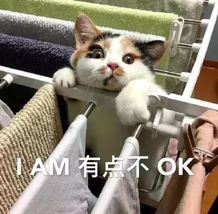 直男审美被吐槽上热搜,直男对女生的吐槽