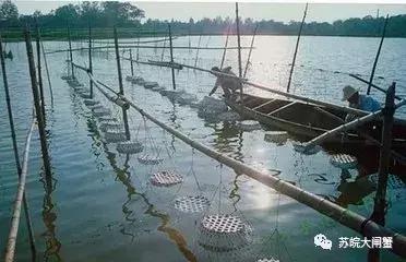 旧塘如何处理最好,十多年的老塘底怎么清理