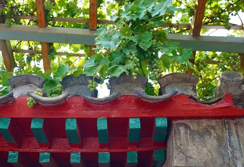 胡同里的日常生活,胡同里的北京生活