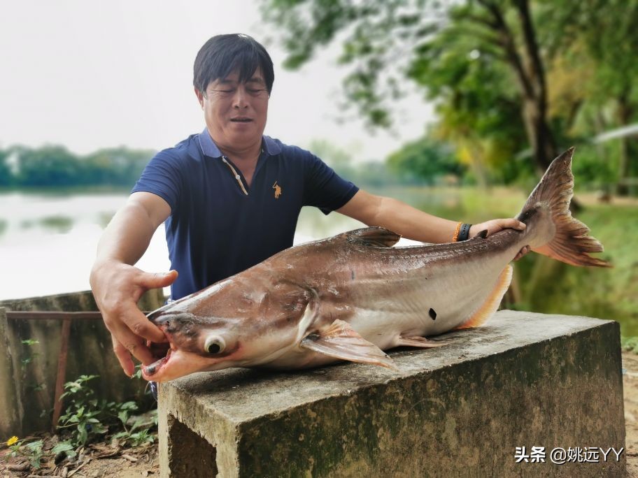 四海钓鱼韩国钓鱼纪录片,四海钓鱼南澳岛