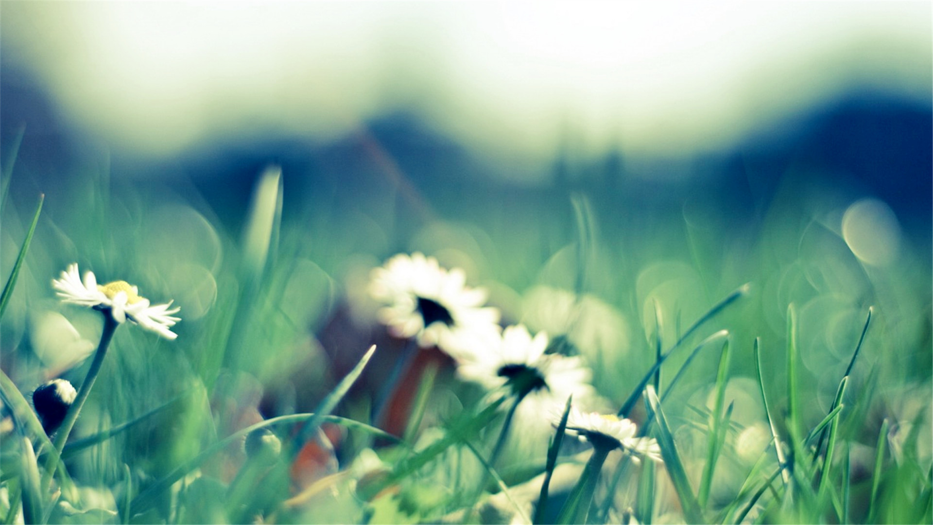 恐惧死亡心理学深度解析,死亡不恐惧心理分析