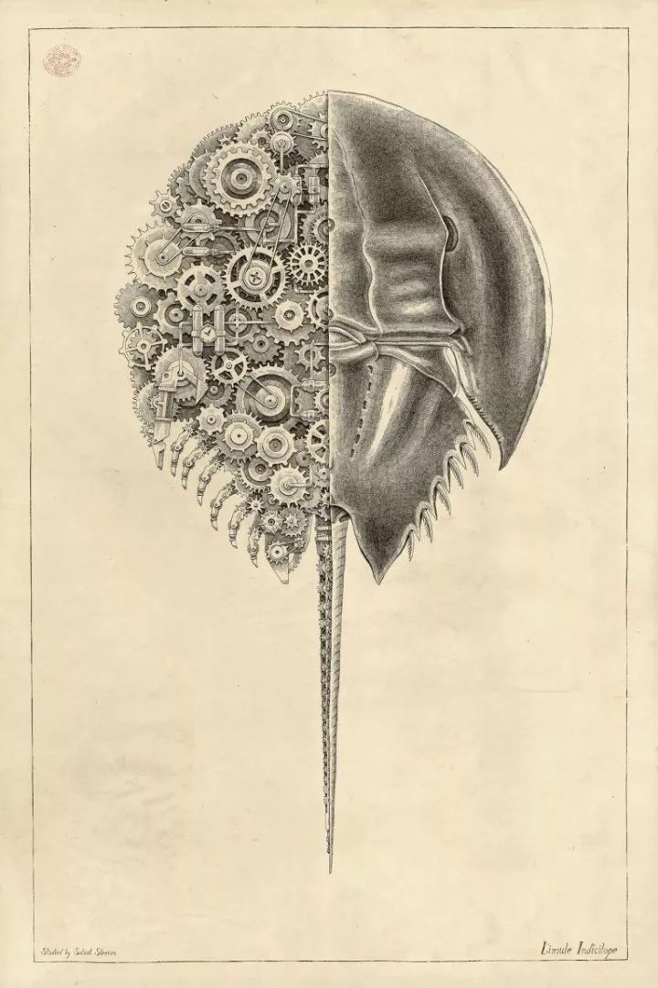 超好看的素描静物,超级惊艳的素描画