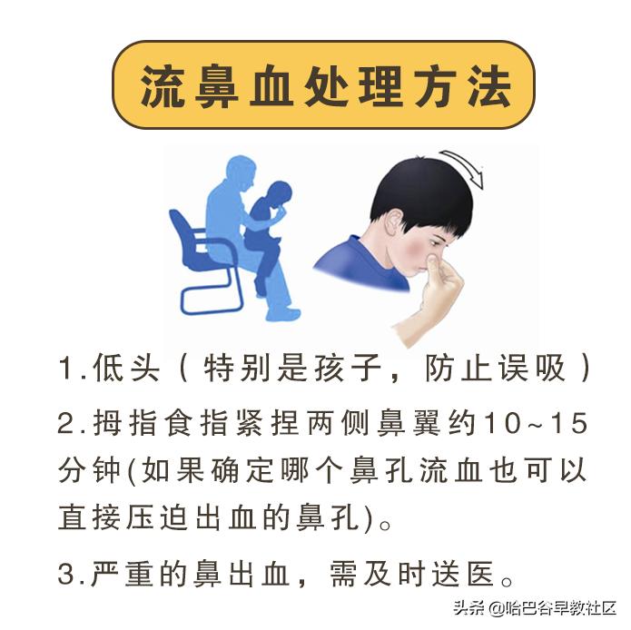 宠物烫伤怎么处理多喝水,宠物咬伤烫伤