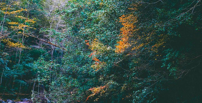 一起游玩泰顺,小众旅游泰顺
