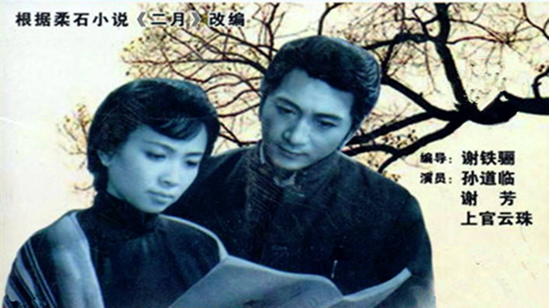 100部经典老电影之地雷战,地雷战经典老电影100部