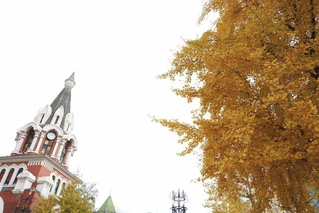 突然就想去旅游了,忽然间就想去厦门了