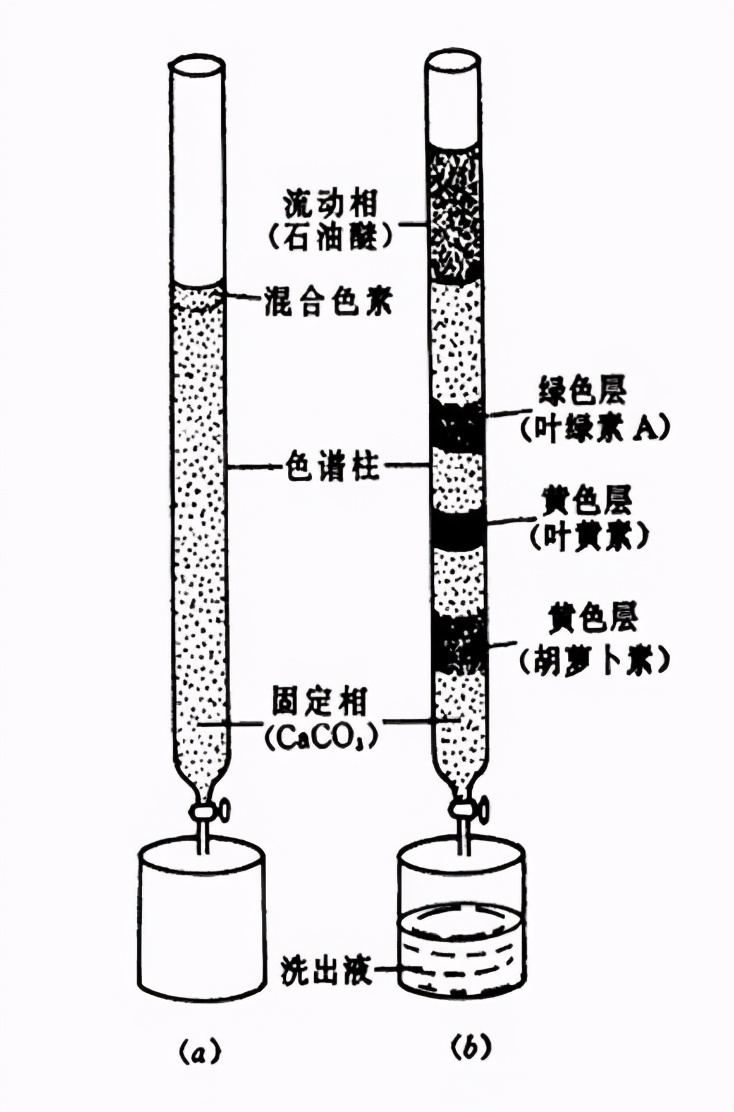色谱分析原理,气体色谱分析的分析原理