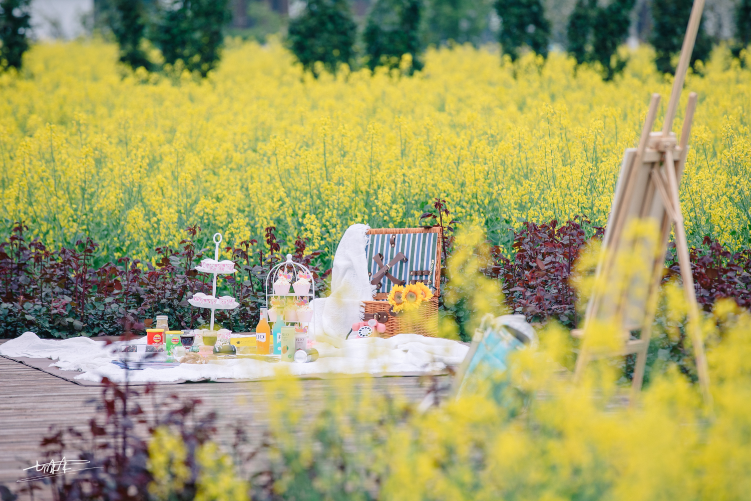 周庄古镇江南水乡美如画,周庄梦里水乡视频