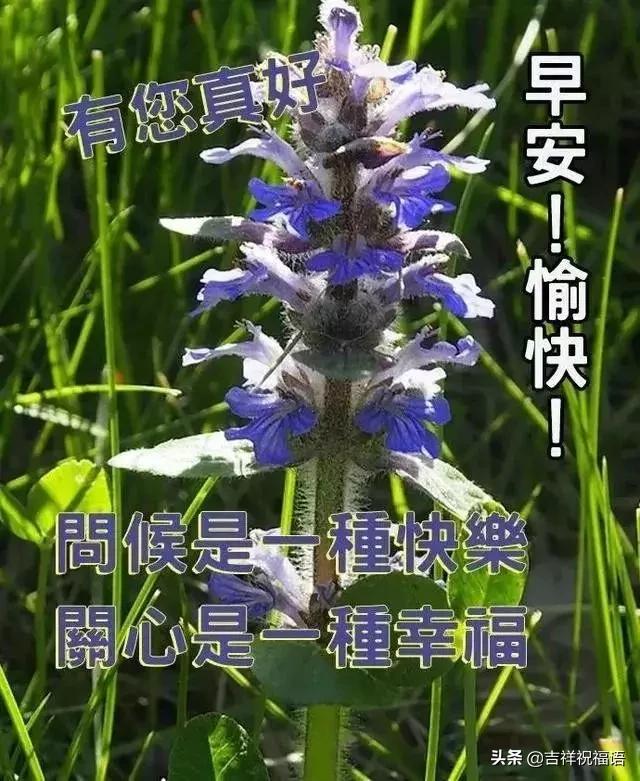 人生路有风有雨有苦有甜,人生的路有风有雨有坎坷