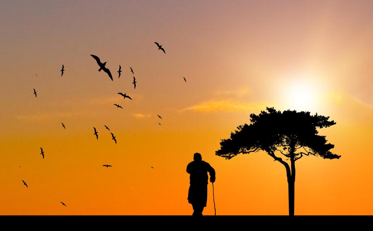 四川诗人王勃资料,著名作家王勃简介